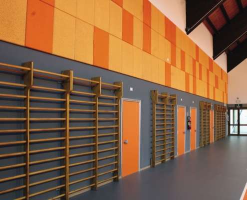 Palestra Negrelli a Fiera di Primiero (TN)