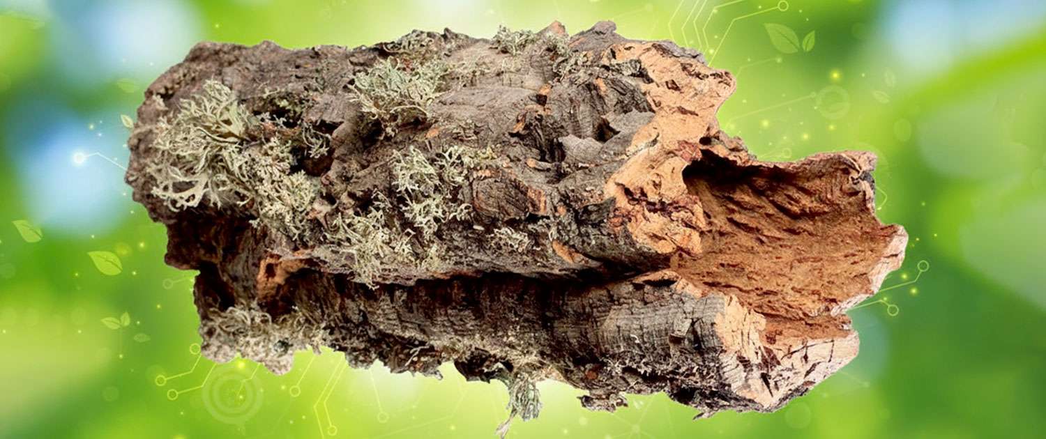 Certificazione sughero Classe A+ EPA Zero Certificazione sughero Classe A+ EPA Zero Coverd - BioEdilizia - Isolare secondo natura