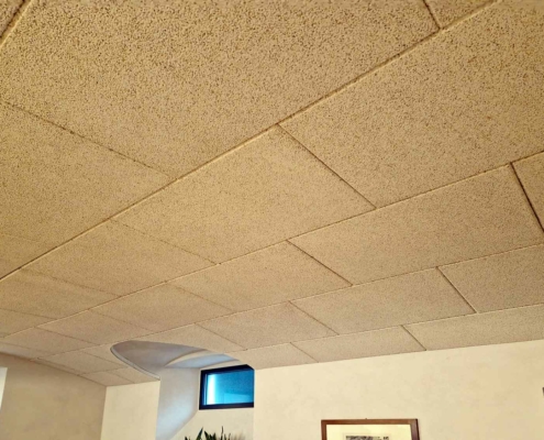 Villa Hermann Somma Lombardo (VA) - Correzione acustica Coverd - BioEdilizia - Isolare secondo natura Hotel - Alberghi