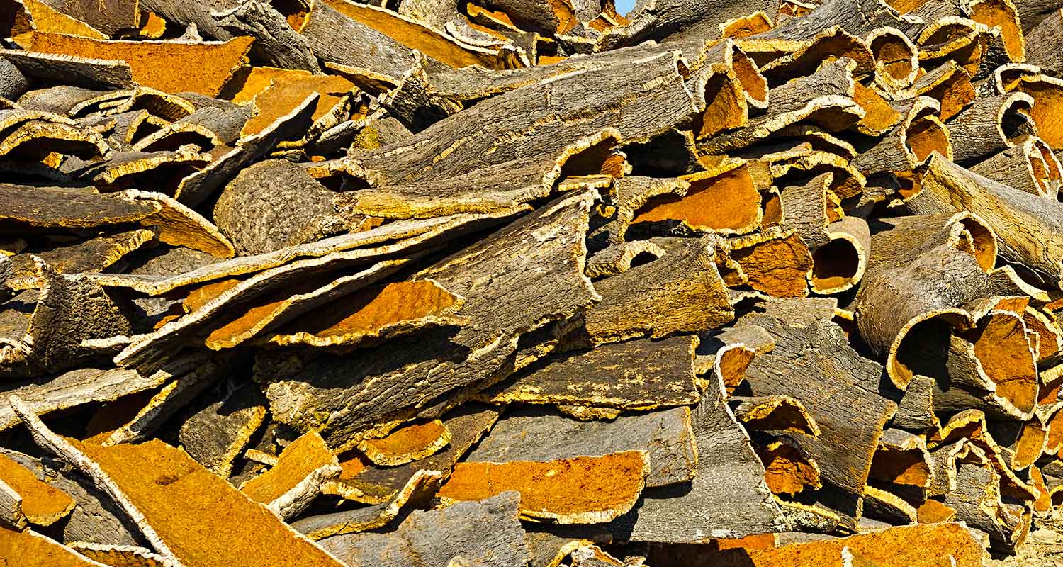 Coverd - BioEdilizia - Isolare secondo natura